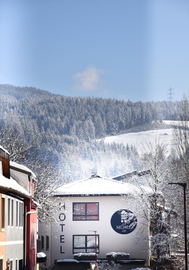 Die Muehle #10 Reichenfels Esterno foto